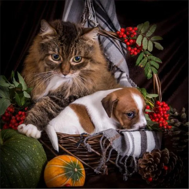 Diamond Painting Cross Stitch 5D Diamond Rhinestone Painting Decor Animal Cat and Dog Icon Diamond Embroidery DIY Crafts
Diamond Painting Cross Stitch 5D Diamond Rhinestone Painting Decor Animal Cat and Dog Icon Diamond Embroidery DIY Crafts