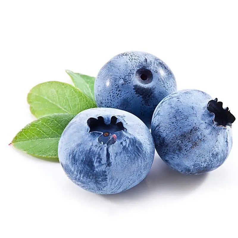 30pcs blueberry bonsai seedsplants fruit indoor plants garden decoration fruit plant seedlings for sale balcony
30pcs blueberry bonsai seedsplants fruit indoor plants garden decoration fruit plant seedlings for sale balcony