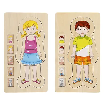 Wooden Multi-layer Puzzle Human Body Structure Puzzle Kids Educational Wooden Toys
Wooden Multi-layer Puzzle Human Body Structure Puzzle Kids Educational Wooden Toys