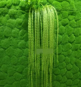 Artificial Green Carpet Stone Shape Printing Grass Mat One Centare Sward Fake Turf for Wall Decoration Background Decoration
Artificial Green Carpet Stone Shape Printing Grass Mat One Centare Sward Fake Turf for Wall Decoration Background Decoration