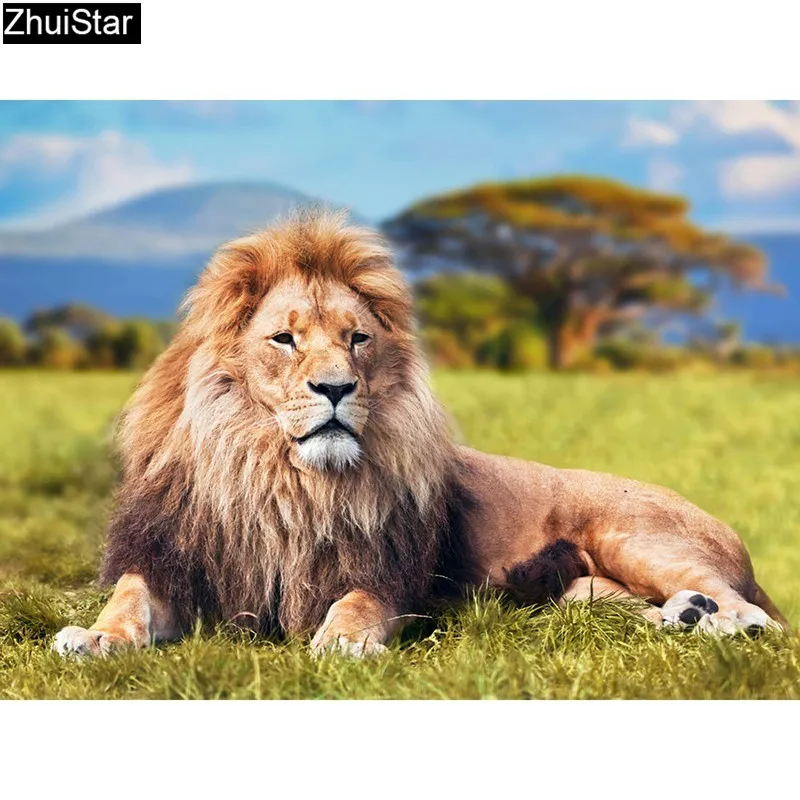 Diamond Mosaic Animal Full Drill Diamond Paintings Lion Diamond Embroidery Cross Stitch Picture Of Rhinestones XY1
Diamond Mosaic Animal Full Drill Diamond Paintings Lion Diamond Embroidery Cross Stitch Picture Of Rhinestones XY1