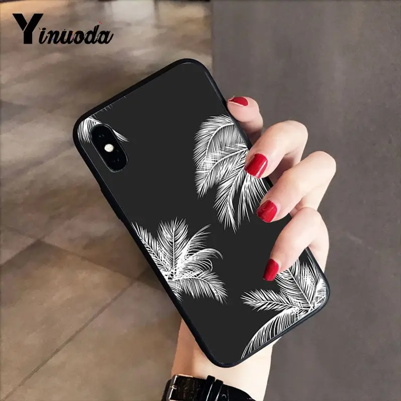 Black white palm leaves palm trees