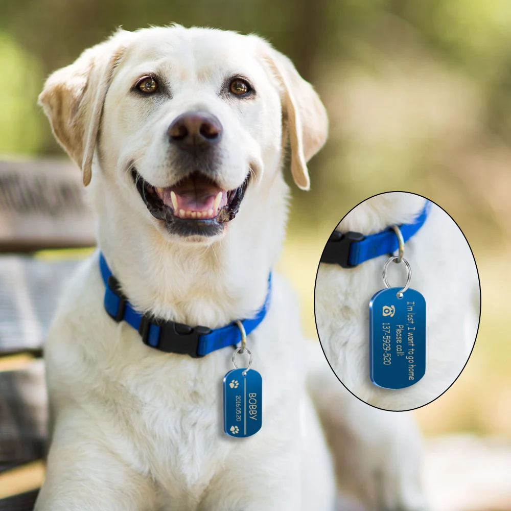 military dog tags for dogs