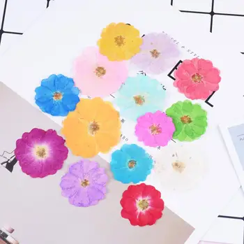 120pcs Pressed Dried Flower Chinese Rose Filler For Epoxy Resin Jewelry Making Postcard Frame Phone Case Craft DIY
120pcs Pressed Dried Flower Chinese Rose Filler For Epoxy Resin Jewelry Making Postcard Frame Phone Case Craft DIY