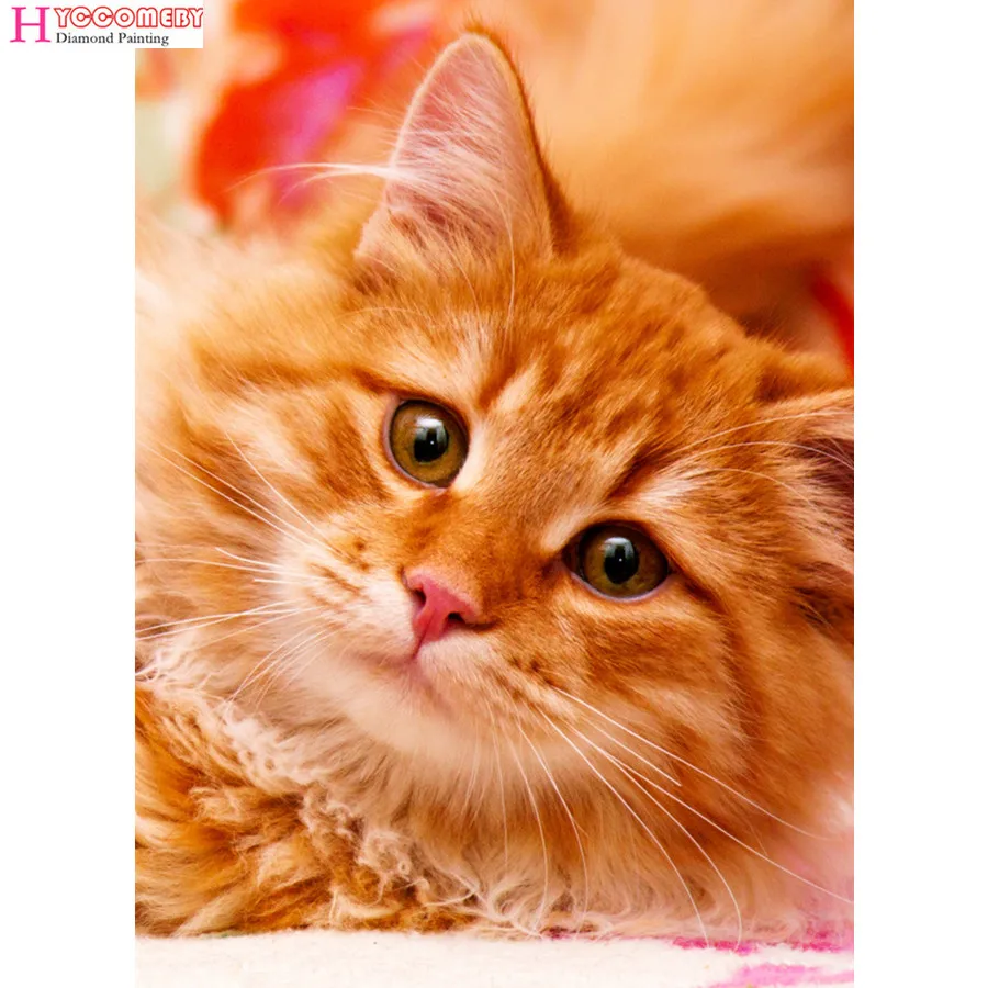 5D Diy Diamond Painting full dill square animal cat Cross Stitch Diamond Mosaic Diamond Embroidery Home Decor gift
5D Diy Diamond Painting full dill square animal cat Cross Stitch Diamond Mosaic Diamond Embroidery Home Decor gift