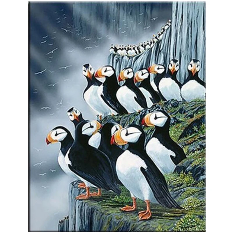5d diamond embroidery sale Puffin Sea diy diamond painting Parrot Bird cross stitch diamond mosaic rhinestones stickerZP-1920
5d diamond embroidery sale Puffin Sea diy diamond painting Parrot Bird cross stitch diamond mosaic rhinestones stickerZP-1920
