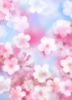 pink flower bokeh Photography Backgrounds Vinyl cloth High quality Computer print wall backdrop
pink flower bokeh Photography Backgrounds Vinyl cloth High quality Computer print wall backdrop