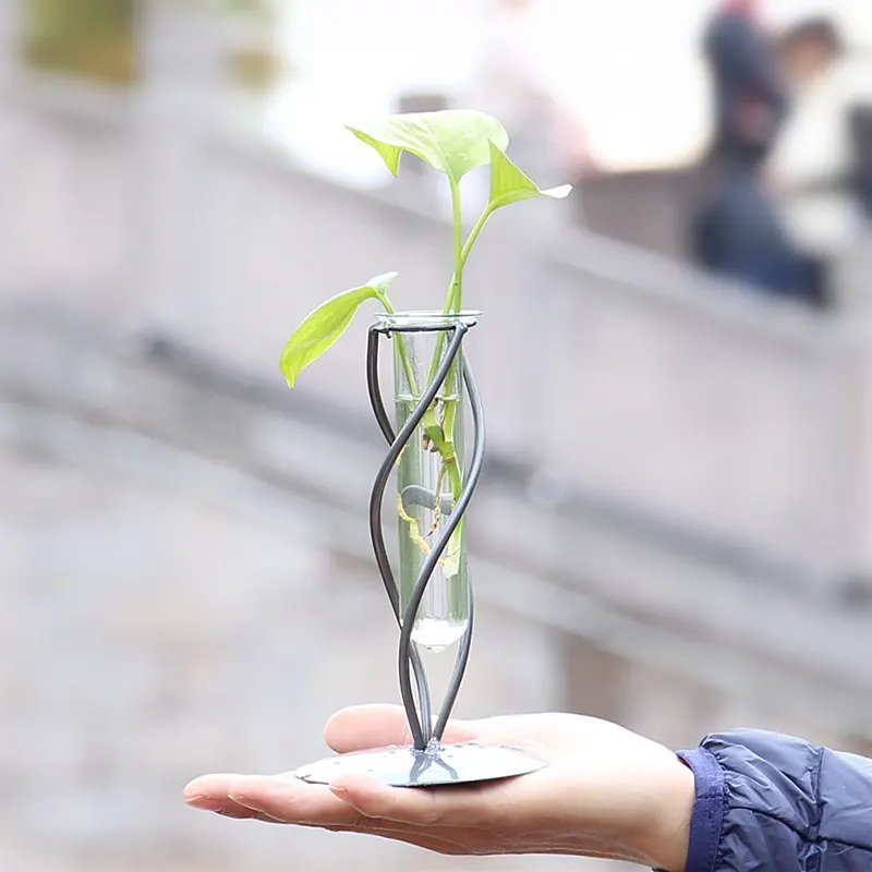 Creative Simple Iron Transparent Glass Bottle Hydroponic Vase Decor Table Container Crafts Plant Vase Ornaments Household Decor
Creative Simple Iron Transparent Glass Bottle Hydroponic Vase Decor Table Container Crafts Plant Vase Ornaments Household Decor