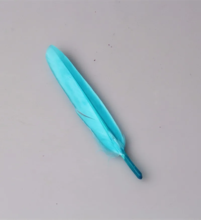 F007 (19)