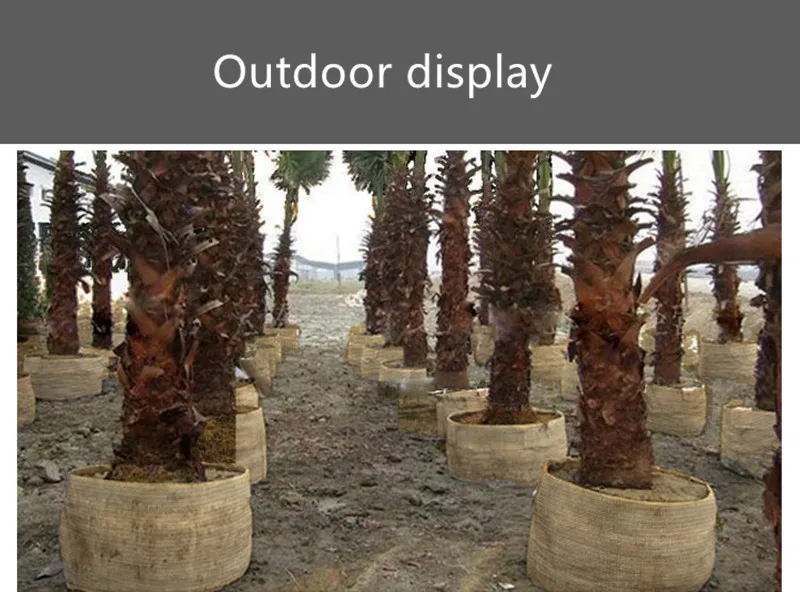 TB2VF73hm0jpuFjy0FlXXc0bpXa_!!1091707600