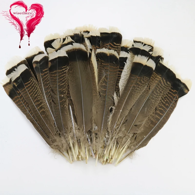 10 PCS/Lot Size 25-30 CM Bleached Grizzly White Tip Striped Barred Natural Turkey Plumage Feathers Costumes Hats DIY Decoration
10 PCS/Lot Size 25-30 CM Bleached Grizzly White Tip Striped Barred Natural Turkey Plumage Feathers Costumes Hats DIY Decoration