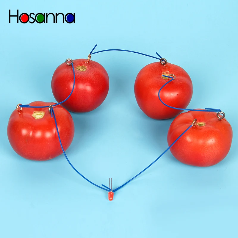 Hosanna Kids Fruit Potato Tomato Battery Electric Experiment Science Toys Kit Learning Physics Educational Toys for Children
Hosanna Kids Fruit Potato Tomato Battery Electric Experiment Science Toys Kit Learning Physics Educational Toys for Children
