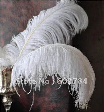 EMS Free shipping 100pcs/ lot 26-28inch 65-70cm white ostrich feather wholesale
EMS Free shipping 100pcs/ lot 26-28inch 65-70cm white ostrich feather wholesale