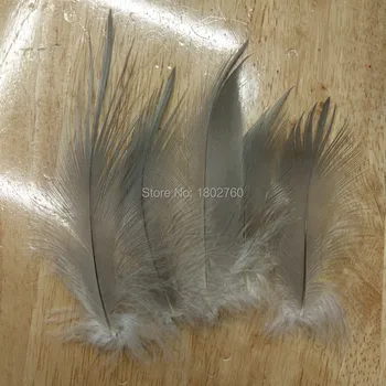 50 pcs / lot of rare natural gray Heron feathers long 6-8 inches / 15-20 cm beautiful feathers
50 pcs / lot of rare natural gray Heron feathers long 6-8 inches / 15-20 cm beautiful feathers