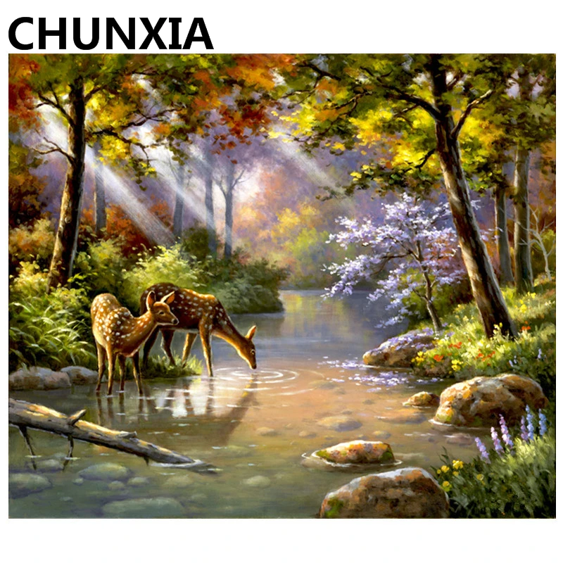 CHUNXIA Painting By Numbers DIY Framed Oil Paint Pictures Wall Art Home Decor Unique Gift 949
CHUNXIA Painting By Numbers DIY Framed Oil Paint Pictures Wall Art Home Decor Unique Gift 949