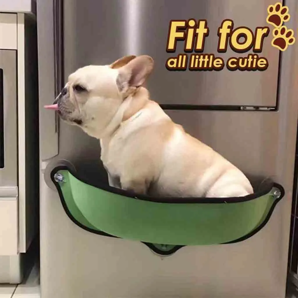 Cat Ferret Window Bed Pet Hammock Mount Sunny Suction Cup Soft Comfortable Warm Window Lounger Cat Rest House Cage #13/6
Cat Ferret Window Bed Pet Hammock Mount Sunny Suction Cup Soft Comfortable Warm Window Lounger Cat Rest House Cage #13/6