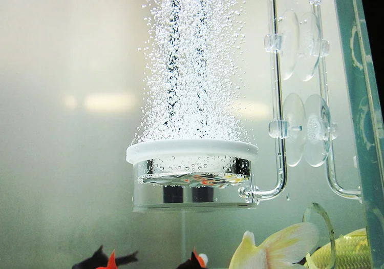 MC acrylic air and CO2 diffuser with a special suction cup and air control valve Refine Bubble counting Transparent as crystal
MC acrylic air and CO2 diffuser with a special suction cup and air control valve Refine Bubble counting Transparent as crystal