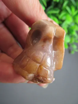 Natural Wood Quartz Skull Stone Carved Chakra Figurine Crystal Healing Feng Shui Reiki Skull For Halloween 84g
Natural Wood Quartz Skull Stone Carved Chakra Figurine Crystal Healing Feng Shui Reiki Skull For Halloween 84g