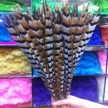 Perfect 100pcs 16-18 inches/40-45 cm natural copper chicken feathers decoration diy collection stage performances
Perfect 100pcs 16-18 inches/40-45 cm natural copper chicken feathers decoration diy collection stage performances