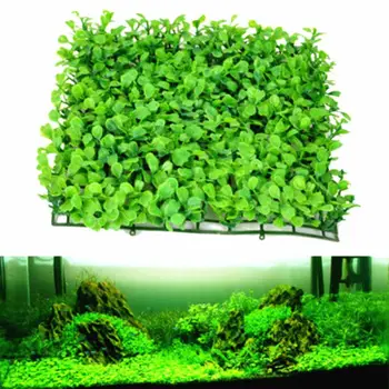 Artificial Emulational Lawn Fish Tank Aquarium Plastic Plant Decor Home Hotel Decoration Landscape Accessories Mini Ornament
Artificial Emulational Lawn Fish Tank Aquarium Plastic Plant Decor Home Hotel Decoration Landscape Accessories Mini Ornament