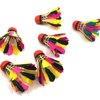 10pcs High Speed Durable multicolor feather Shuttlecocks Durable Lightweight Birdies Badminton Ball Game Sports Training
10pcs High Speed Durable multicolor feather Shuttlecocks Durable Lightweight Birdies Badminton Ball Game Sports Training