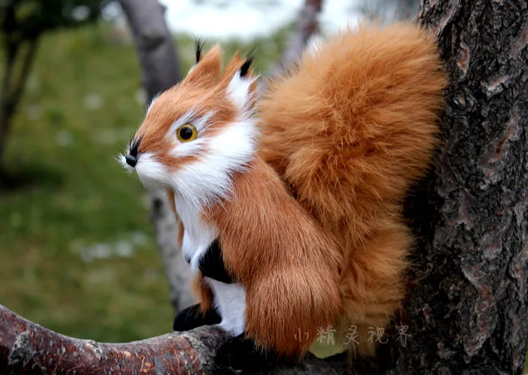 simulation brown squirrel furry fur hard model home decoration Christmas gift h1169
simulation brown squirrel furry fur hard model home decoration Christmas gift h1169