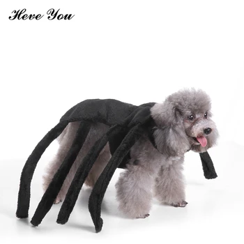 Heve You Clothes Sets for Small Dogs Cats Pet Clothes Large Black Spider Dog Costume Novelty Funny Party Festival Pet Clothing
Heve You Clothes Sets for Small Dogs Cats Pet Clothes Large Black Spider Dog Costume Novelty Funny Party Festival Pet Clothing