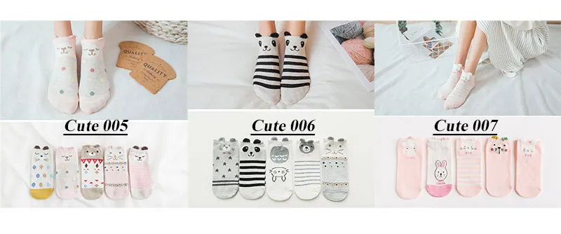 women socks cat