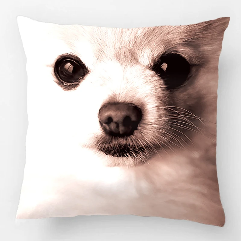 Precious Pomeranian Accent Wedding Decorative Cushion Cover Pillow Case Customize Gift By Lvsure For Car Sofa Seat Pillowcase
Precious Pomeranian Accent Wedding Decorative Cushion Cover Pillow Case Customize Gift By Lvsure For Car Sofa Seat Pillowcase