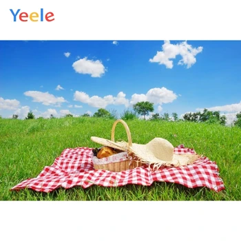 Yeele Spring Picnic Blue Sky White Cloud Grassland Trees Background Customized Photographic Backdrops For Photo Studio
Yeele Spring Picnic Blue Sky White Cloud Grassland Trees Background Customized Photographic Backdrops For Photo Studio
