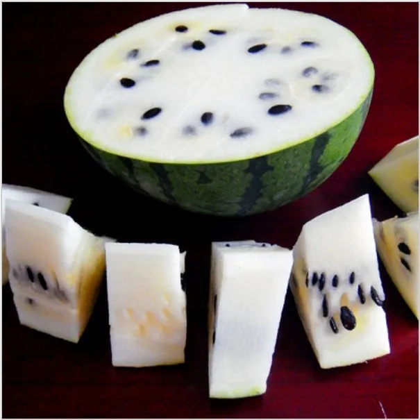 Non-gmo 30pcs Vegetables fruit White water melon New varieties of watermelon Bonsai plants home garden
Non-gmo 30pcs Vegetables fruit White water melon New varieties of watermelon Bonsai plants home garden