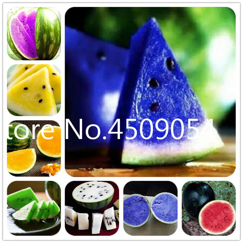 Big Sale! 30 Pcs/Bag Rare Color Watermelon bonsai Fruit garden Planting Watermelon flores Non-GMO Edible Fruits succulent raras
Big Sale! 30 Pcs/Bag Rare Color Watermelon bonsai Fruit garden Planting Watermelon flores Non-GMO Edible Fruits succulent raras