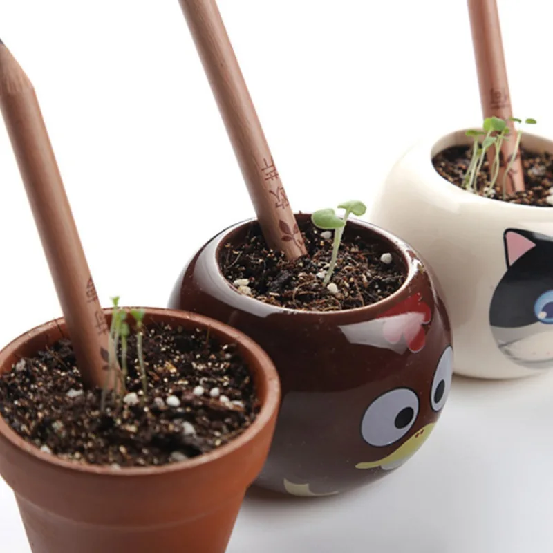 Outdoor 1 box 8 Item Novel Exotic Sprouts Pencil Germination Can Be Planted Pencils Buds Contains Different Seeds
Outdoor 1 box 8 Item Novel Exotic Sprouts Pencil Germination Can Be Planted Pencils Buds Contains Different Seeds