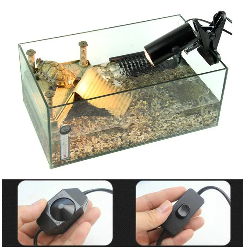 2 Style Repitle Basking Light Holder UVA UVB Heating Bulb Lamp Holder Aquarium Lighting Temperature Control For Reptile Turtle
2 Style Repitle Basking Light Holder UVA UVB Heating Bulb Lamp Holder Aquarium Lighting Temperature Control For Reptile Turtle