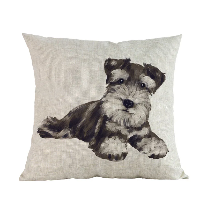 schnauzer