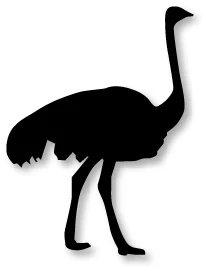 Ufurty Ostrich Animal Metal Cutting Dies New 2019 Stencils for DIY Scrapbooking Paper Card making Decor Craft Embossing Dies
Ufurty Ostrich Animal Metal Cutting Dies New 2019 Stencils for DIY Scrapbooking Paper Card making Decor Craft Embossing Dies