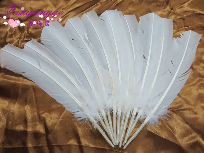 50pcs/Lot 27-35cm natural dyed WHITE goose feather Quill pen/fan/angel wings accessories ,carnival decorative feather #1
50pcs/Lot 27-35cm natural dyed WHITE goose feather Quill pen/fan/angel wings accessories ,carnival decorative feather #1