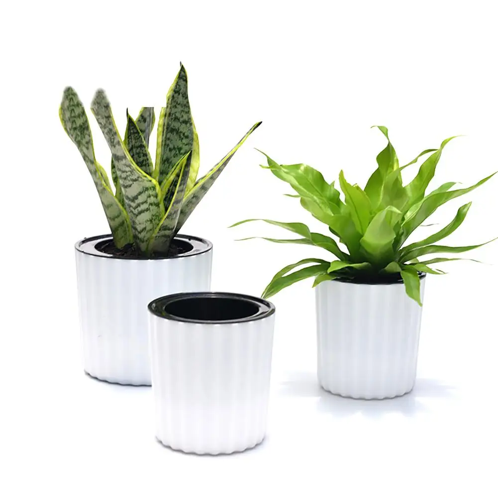 Innovative Succulent Plants Pot Round Resin Plastic Wall Hanging Flower Holder Automatic Water Absorption Gardening Supplies
Innovative Succulent Plants Pot Round Resin Plastic Wall Hanging Flower Holder Automatic Water Absorption Gardening Supplies