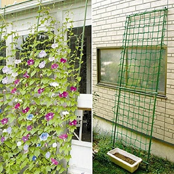 1.8m Green Wholesale Garden Fence Mesh Plant Vines Climbing Net Garden Decoration Gardening Net Bird Net
1.8m Green Wholesale Garden Fence Mesh Plant Vines Climbing Net Garden Decoration Gardening Net Bird Net