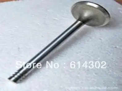 inlet valve and exhaust value for 4102 series engine parts for weifang Ricardo 40KW 50kw diesel generator
inlet valve and exhaust value for 4102 series engine parts for weifang Ricardo 40KW 50kw diesel generator