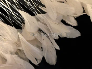Off White Stripped rooster/coque Feathers 4-6inch in width for CARAFT and costumes
Off White Stripped rooster/coque Feathers 4-6inch in width for CARAFT and costumes