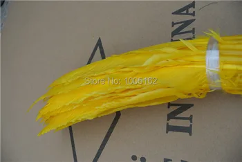 Wholesale 100PCS Bright yellow goose feathers 12-14inches Turkey Quill Feathers pheasant tail feather
Wholesale 100PCS Bright yellow goose feathers 12-14inches Turkey Quill Feathers pheasant tail feather