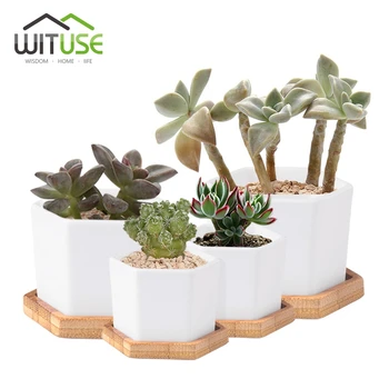 New 2x Hexagonal Flowerpot Simplism White Ceramic Crafts Fern Succulent Bonsai Planters Flower Pot For Desktop Home Gardening
New 2x Hexagonal Flowerpot Simplism White Ceramic Crafts Fern Succulent Bonsai Planters Flower Pot For Desktop Home Gardening