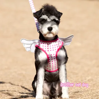 Pet Dog Harness Leash Angel Dot Training Walk Vest For Small Medium Dogs Cat Harness With Leash Set Chihuahua Pet Products 8527
Pet Dog Harness Leash Angel Dot Training Walk Vest For Small Medium Dogs Cat Harness With Leash Set Chihuahua Pet Products 8527