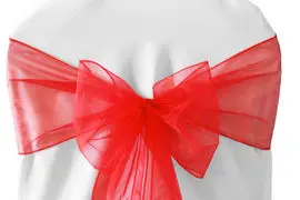 100Pcs Red Organza Chair Sashes Bow For Wedding/Party Banquet Chairs Decoration Bridal Party Sashes Free Shipping
100Pcs Red Organza Chair Sashes Bow For Wedding/Party Banquet Chairs Decoration Bridal Party Sashes Free Shipping