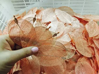 Fashion Leaf Charms Pendants for Women Girl Earring Necklace diy Jewelry Making DIY Accessory for Wedding Christmas Party Gifts
Fashion Leaf Charms Pendants for Women Girl Earring Necklace diy Jewelry Making DIY Accessory for Wedding Christmas Party Gifts