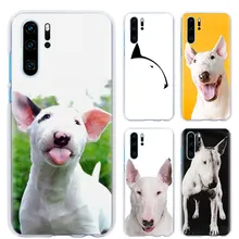 coque huawei p20 pro bull terrier