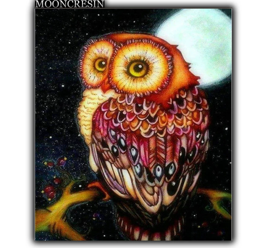 5D Diy Diamond Painting Cross Stitch Owl On The Night Branch Needlework 3D Diamond Embroidery Full Round Mosaic Decoration Resin
5D Diy Diamond Painting Cross Stitch Owl On The Night Branch Needlework 3D Diamond Embroidery Full Round Mosaic Decoration Resin