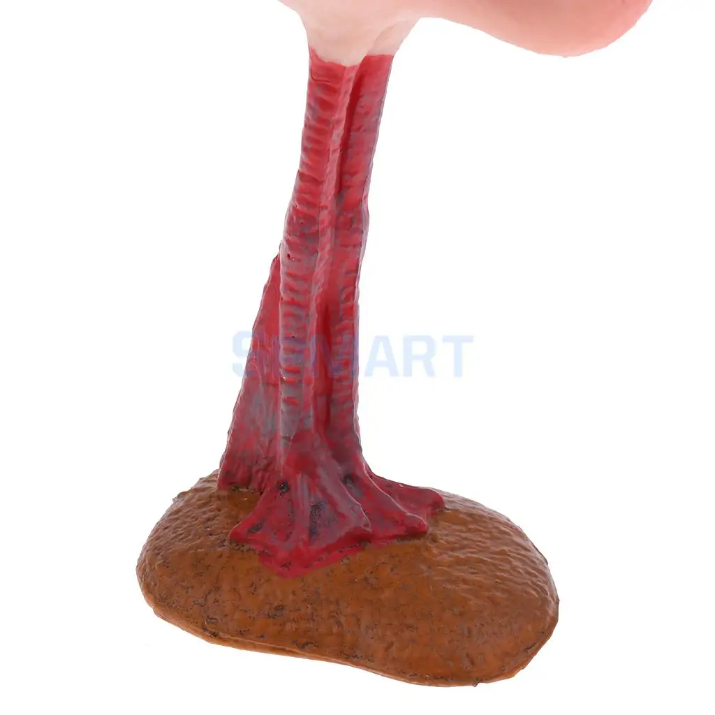 2pcs Realistic Wildlife Animal Flamingo Model Figurine Nature Educational Toy Home Decoration Xmas Gifts