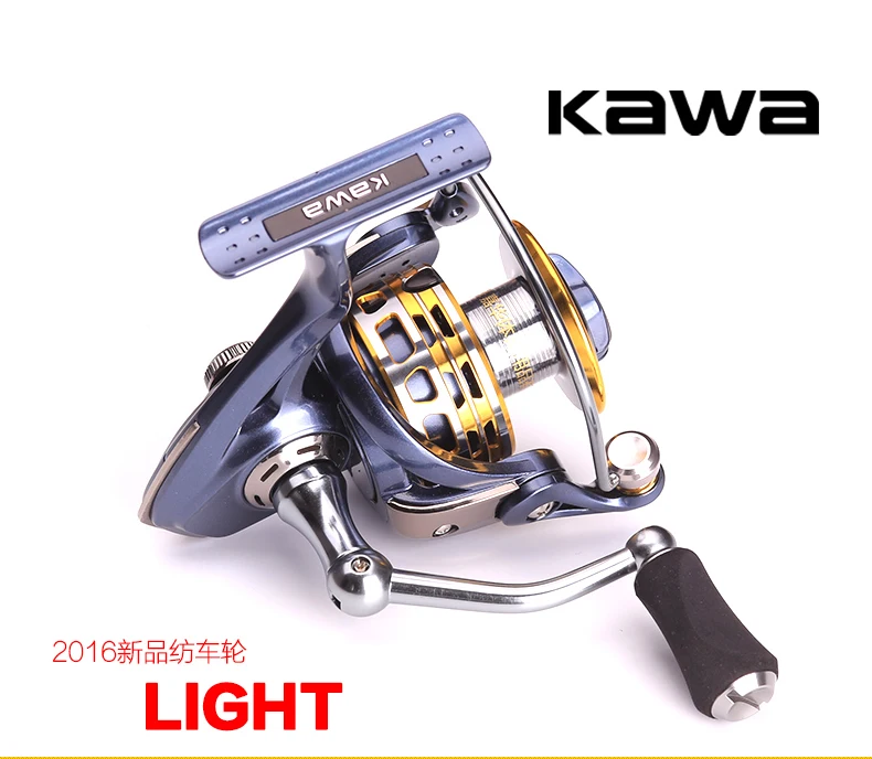 -LIGHT1